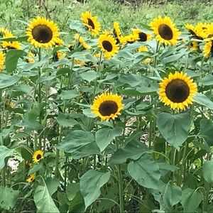 Meet your Posher, Ashlee